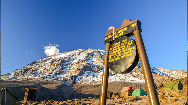 Mount Kilimanjaro  Safari Guide